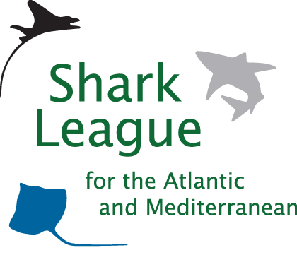 Shark League for the Atlantic and Mediterranean